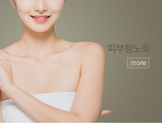 피부항노화