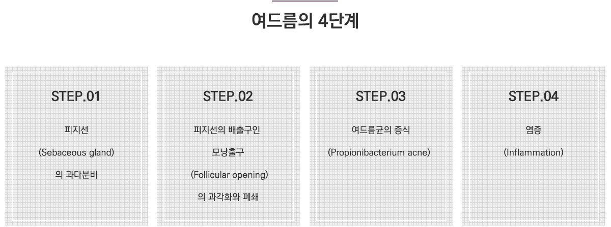 여드름의 4단계. 1단계-피지선의 과다분비. 2단계-피지선의 배출구인 모낭출구의 과각화와 폐쇄. 3단계-여드름균의 증식. 4단계-염증