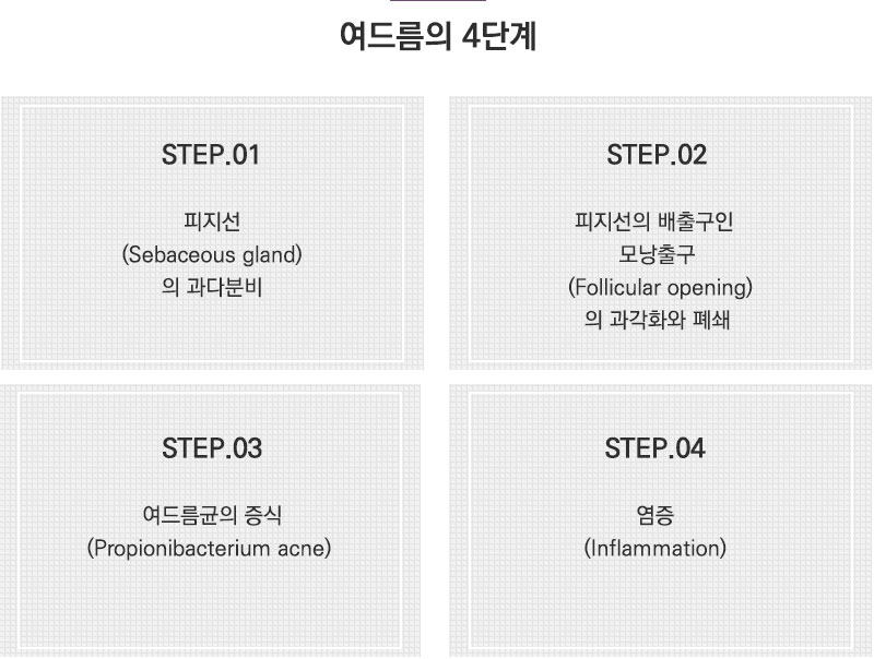 여드름의 4단계. 1단계-피지선의 과다분비. 2단계-피지선의 배출구인 모낭출구의 과각화와 폐쇄. 3단계-여드름균의 증식. 4단계-염증
